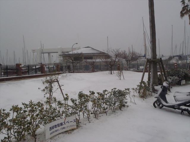 西緑地からのお知らせ| 積雪