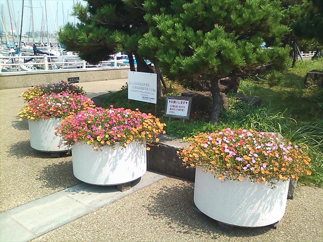 ポーチラカ
